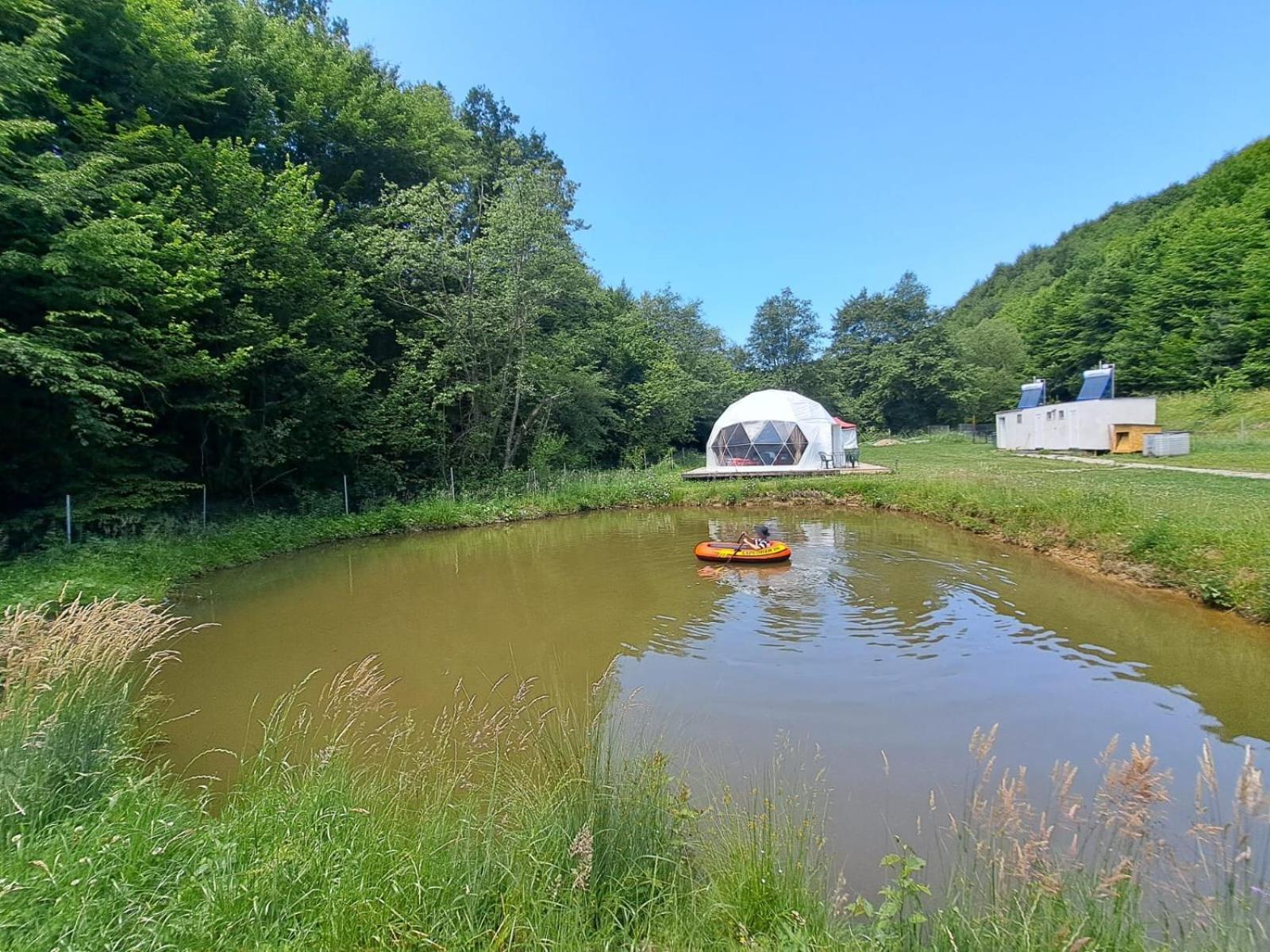 Forest Glamping Braşov Eksteriør bilde