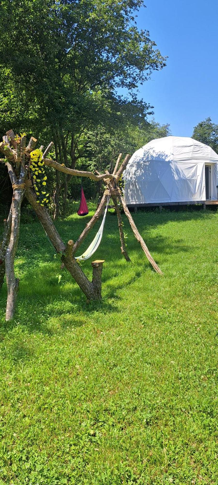 Forest Glamping Braşov Eksteriør bilde