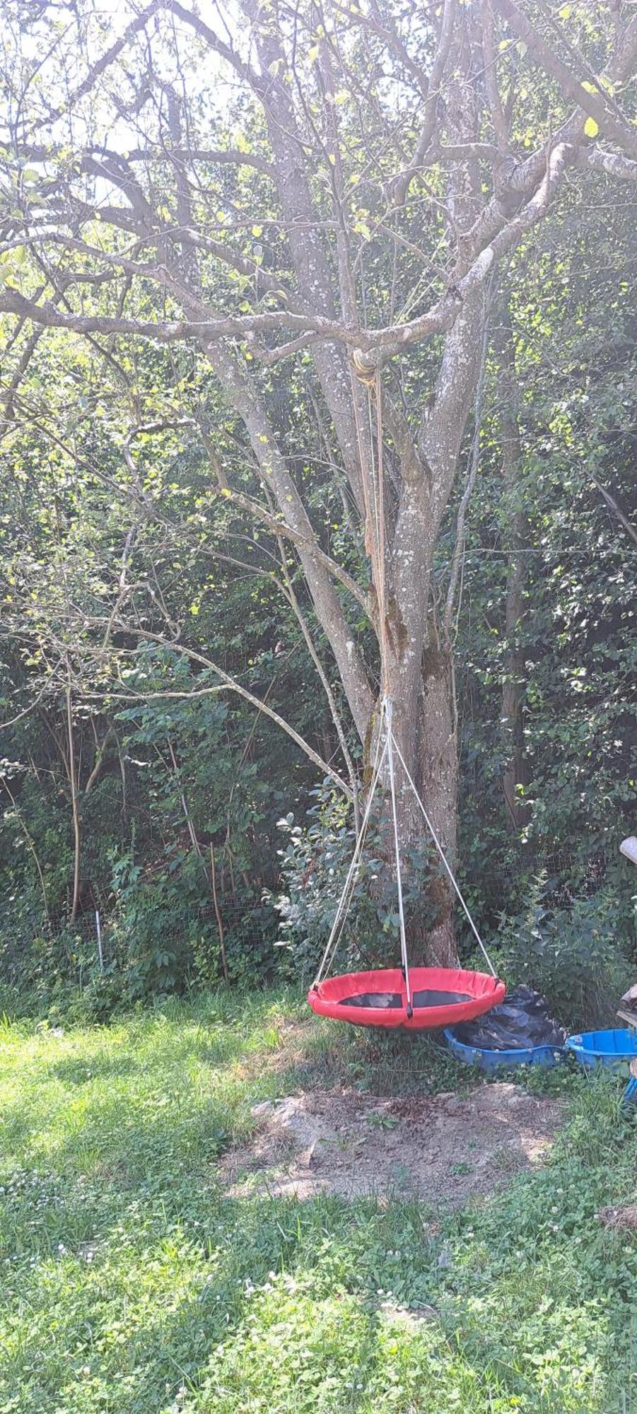Forest Glamping Braşov Eksteriør bilde