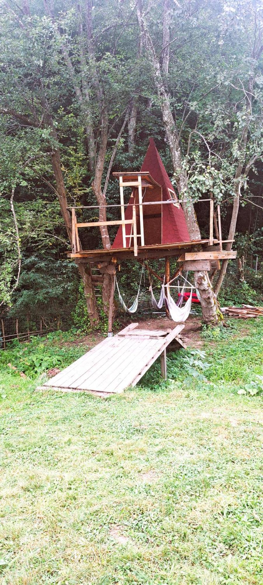 Forest Glamping Braşov Eksteriør bilde